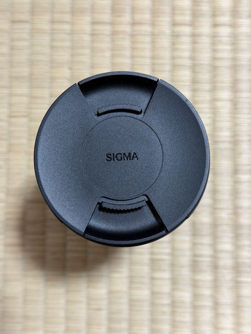 SIGMA (シグマ) Contemporary 20-200mm Lマウント(
