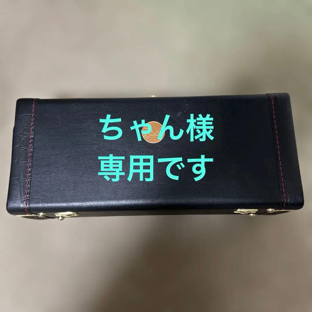 ちゃんです⭐︎トランペットケース