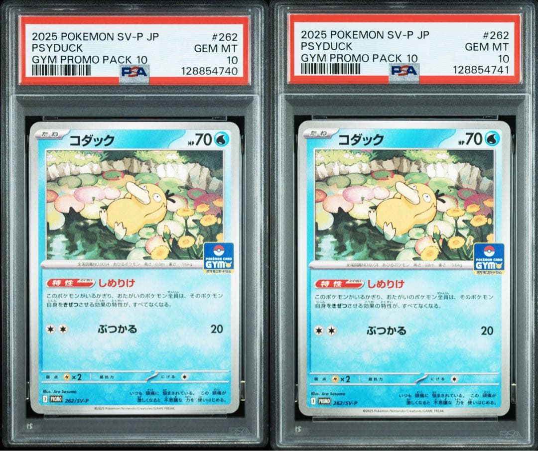 【PSA10】 コダック ジムプロモ しめりけ 262/SV-P 2連番