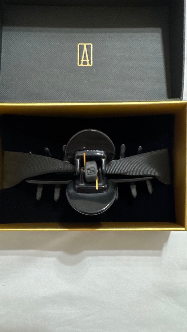 ALEXANDRE DE PARIS リズレ