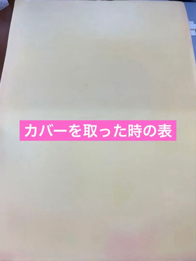 訳あり★トゥルースリーパー　ダブル　専用カバー付き　低反発　マットレス