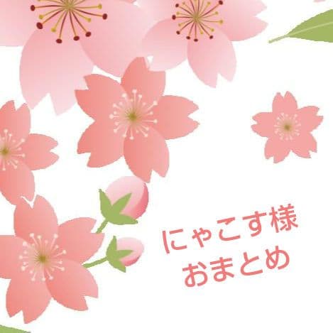 にゃこす様✦おまとめ