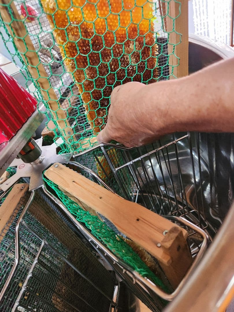 日本蜜蜂はちみつ　550g 3本セット