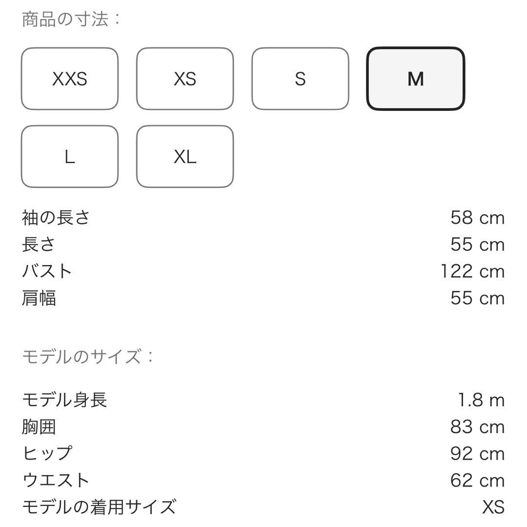 alexander wang スウェット