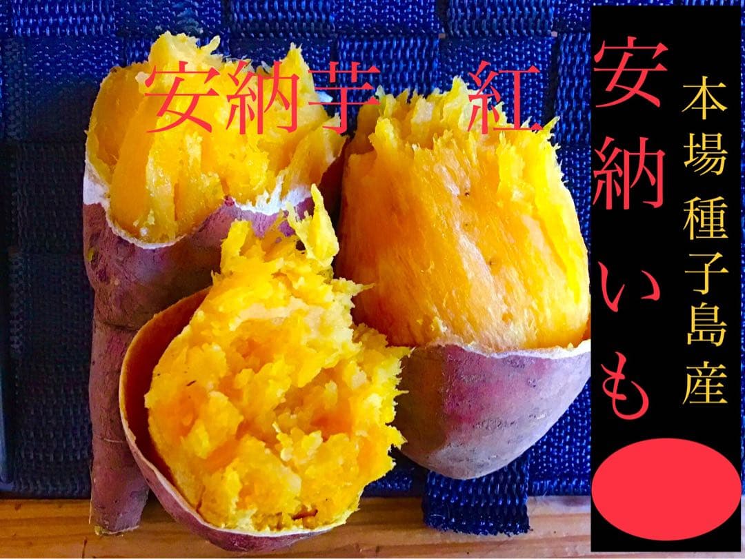 安納芋種子島から　さつまいもの王道　Sサイズ20kg 焼きやすい　#安納芋　1