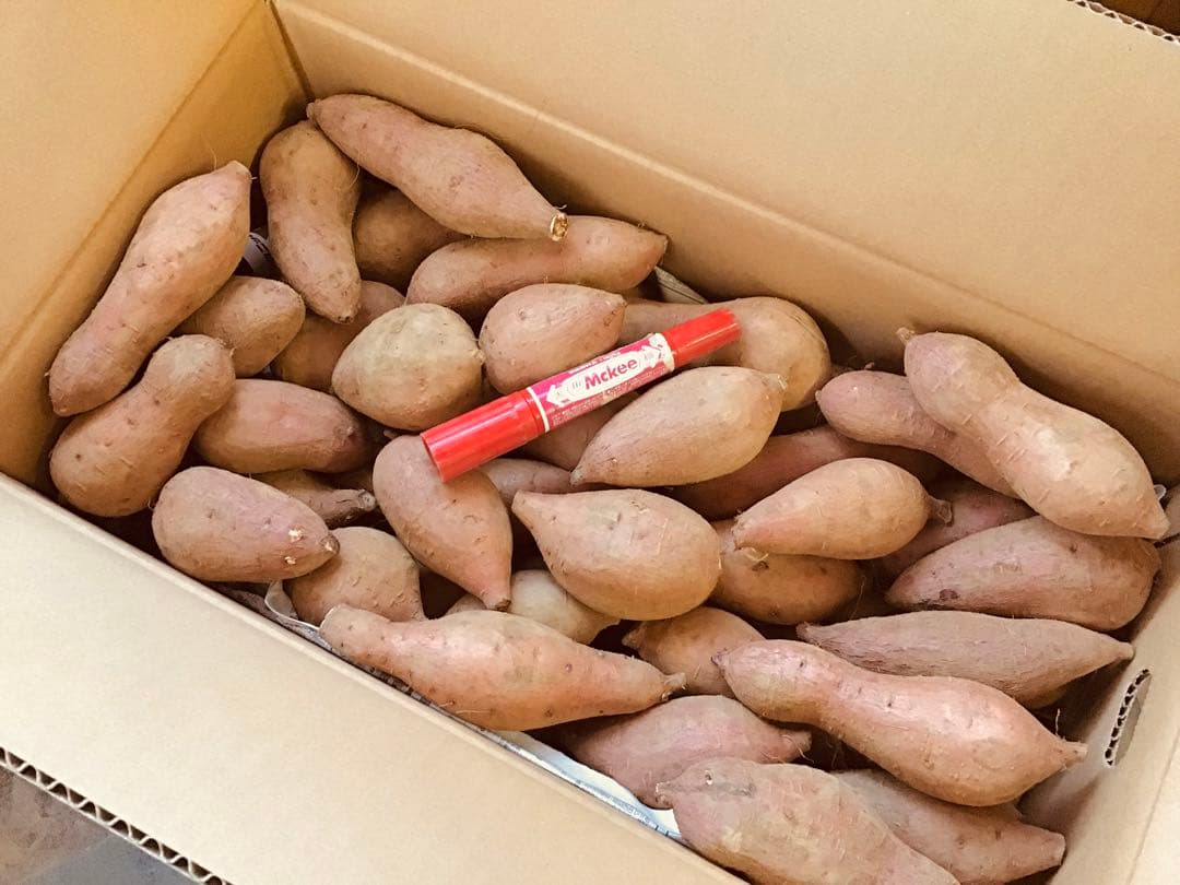 安納芋種子島から　さつまいもの王道　Sサイズ20kg 焼きやすい　#安納芋　1