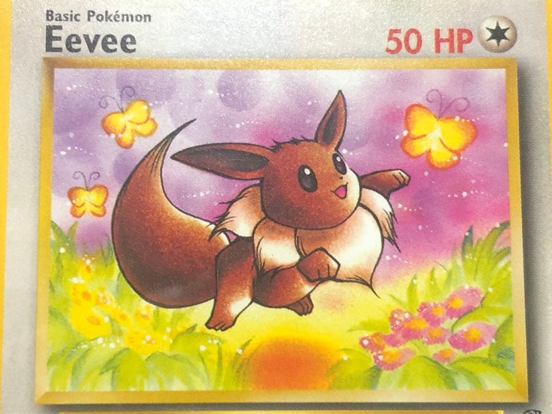 【PSA8】旧裏　がんばイーブイ　Eevee　英語版　ポケモンカードゲーム