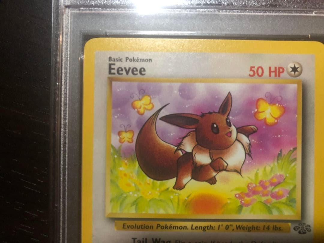 【PSA8】旧裏　がんばイーブイ　Eevee　英語版　ポケモンカードゲーム