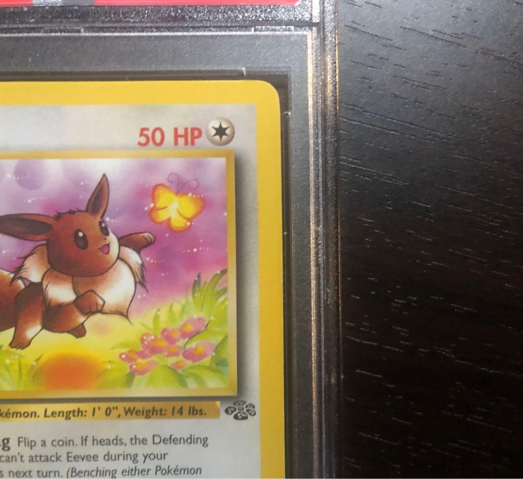 【PSA8】旧裏　がんばイーブイ　Eevee　英語版　ポケモンカードゲーム