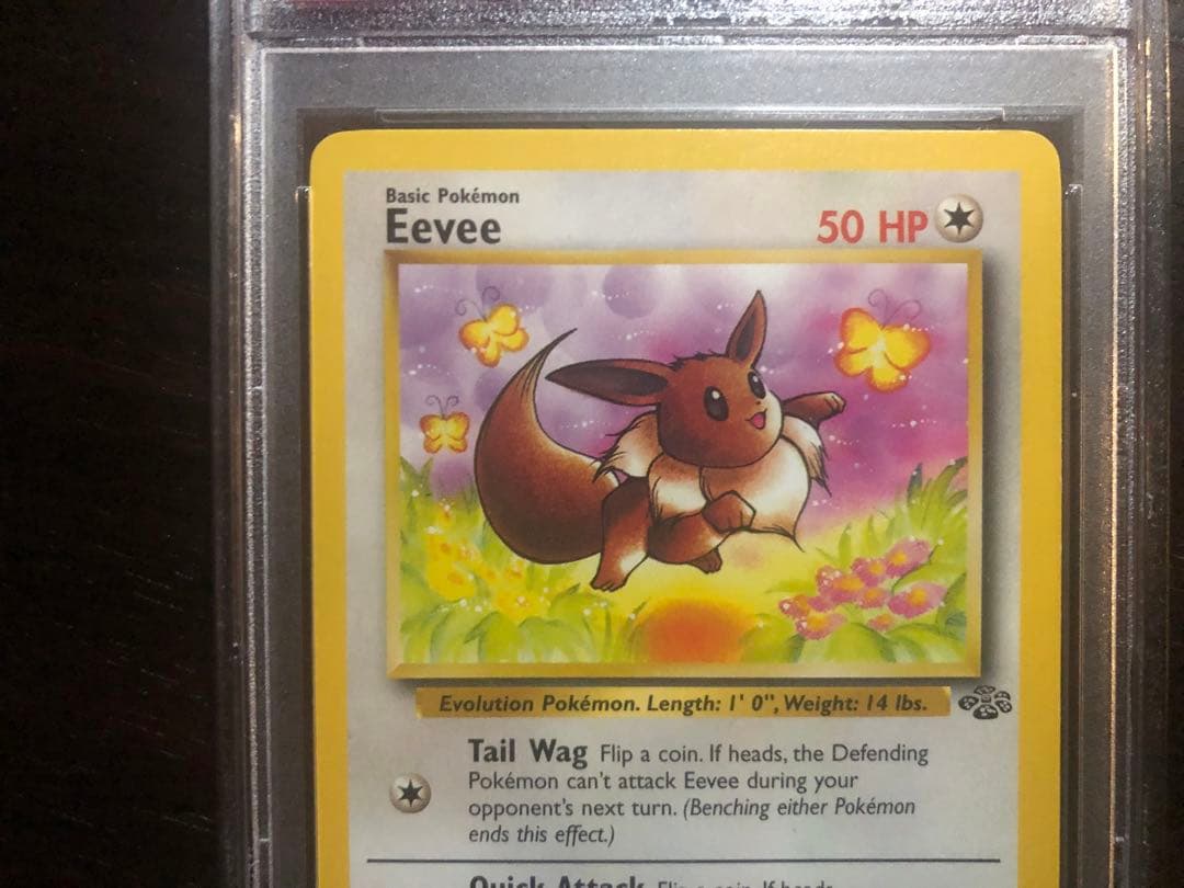 【PSA8】旧裏　がんばイーブイ　Eevee　英語版　ポケモンカードゲーム