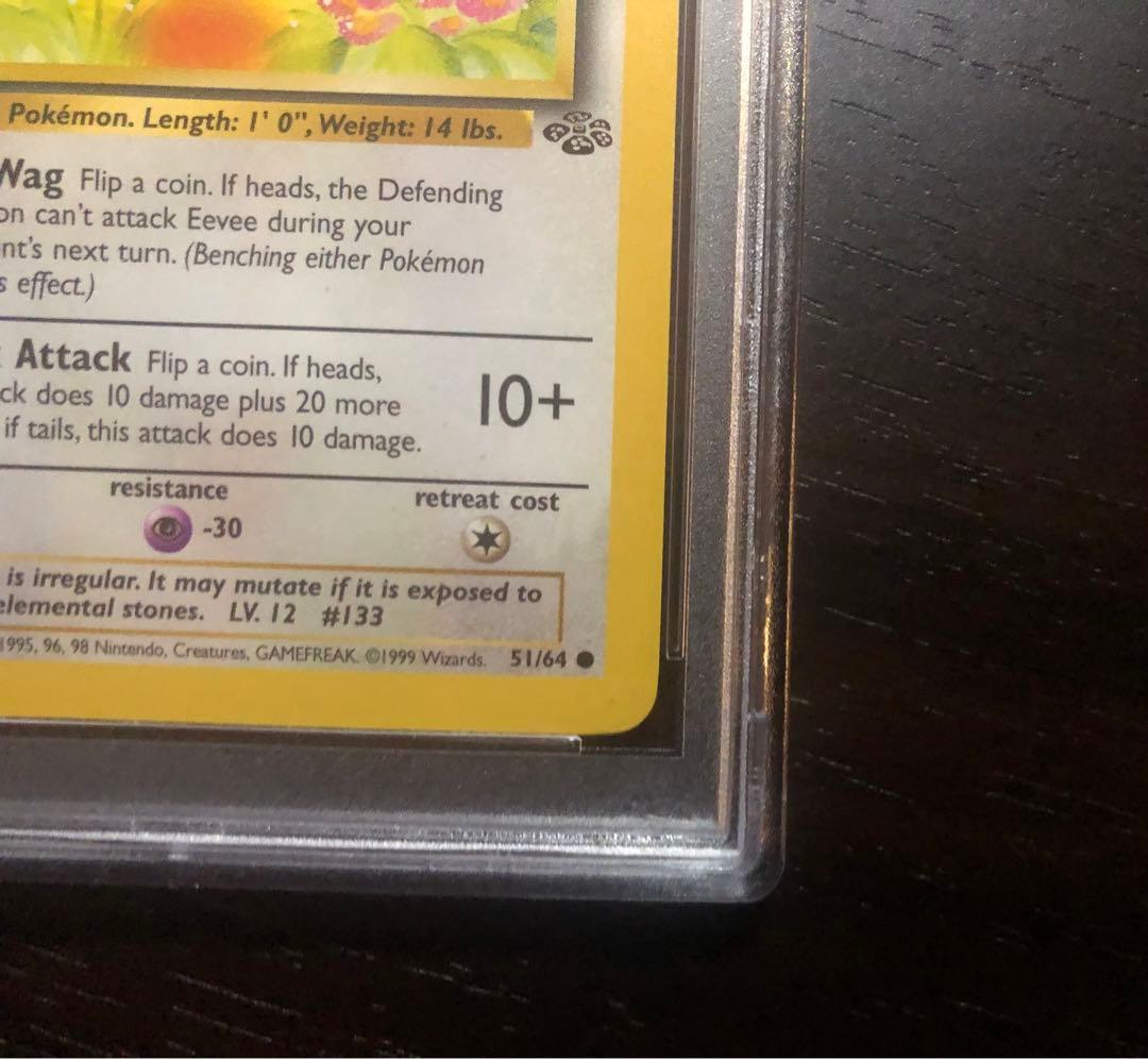 【PSA8】旧裏　がんばイーブイ　Eevee　英語版　ポケモンカードゲーム