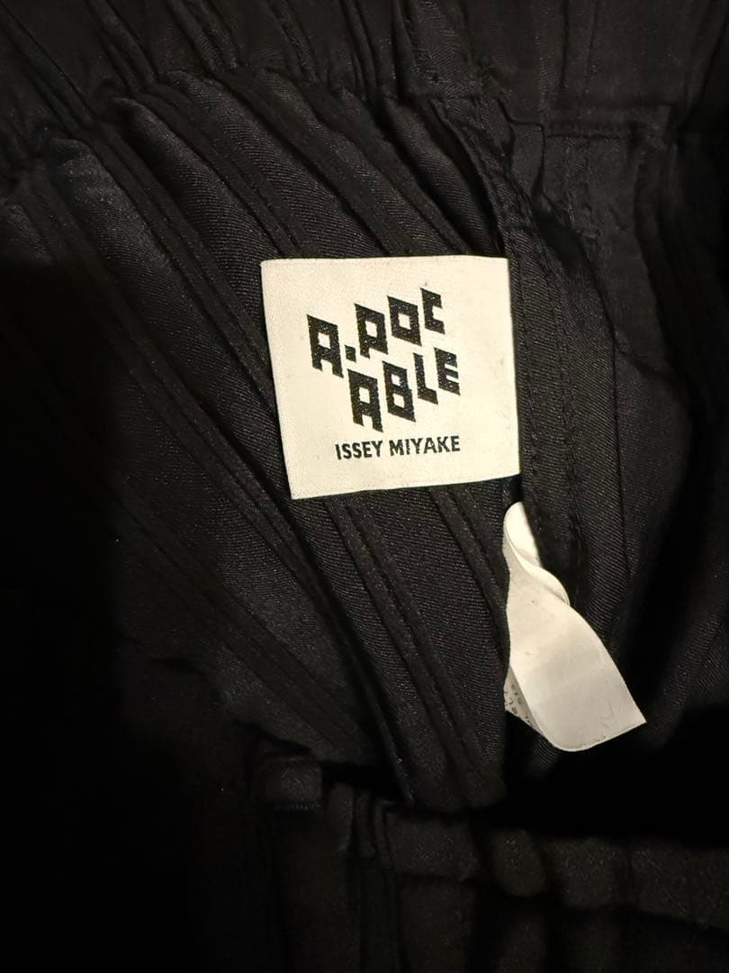 ISSEY MIYAKE A-POC ABLE パンツ　ブラック　サイズ2