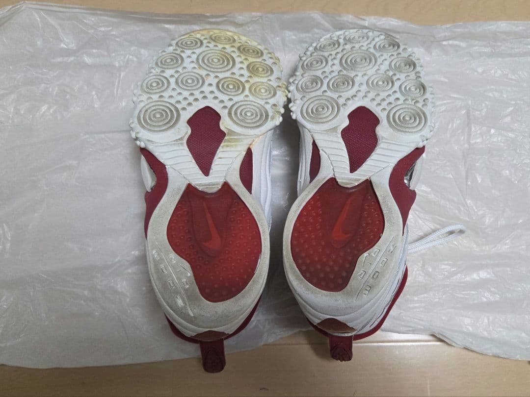 ナイキ ズームフライト5