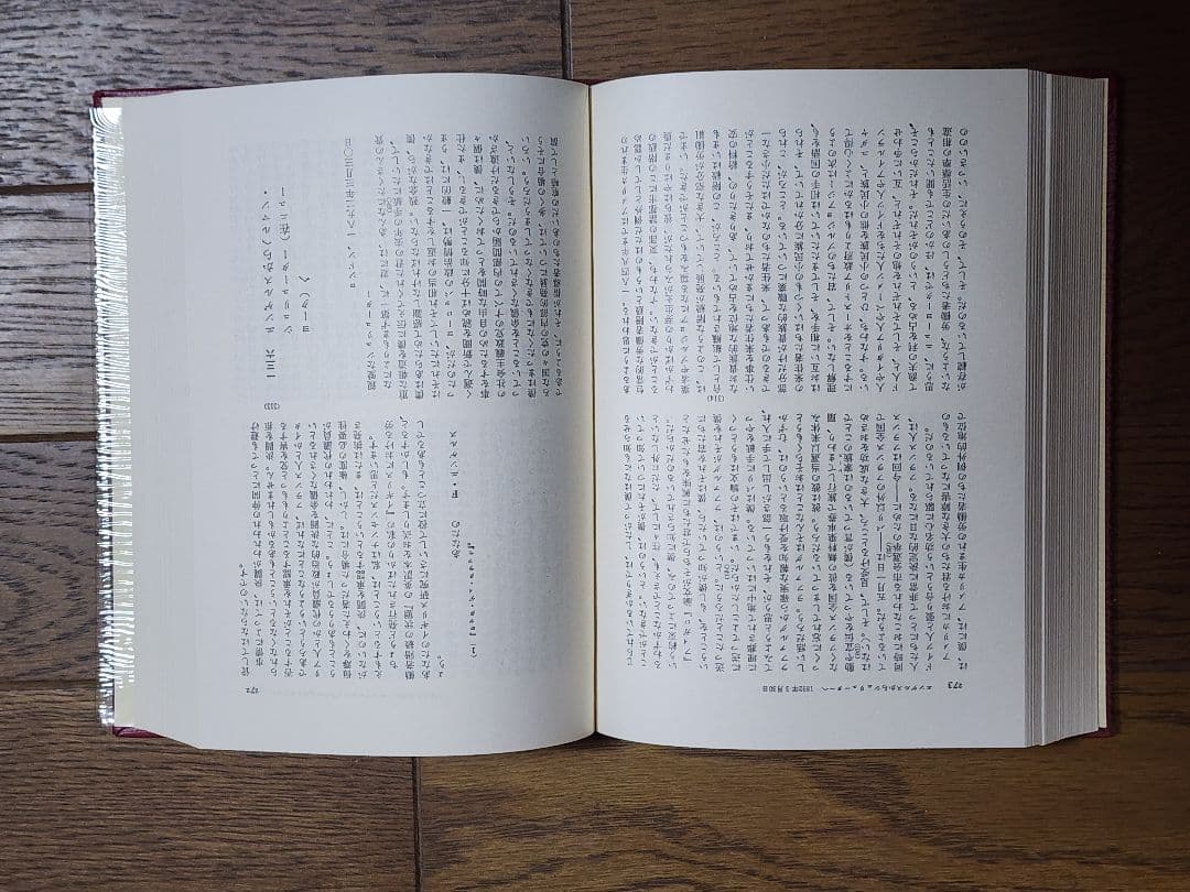 マルクス・エンゲルス全集②17～28巻16冊
