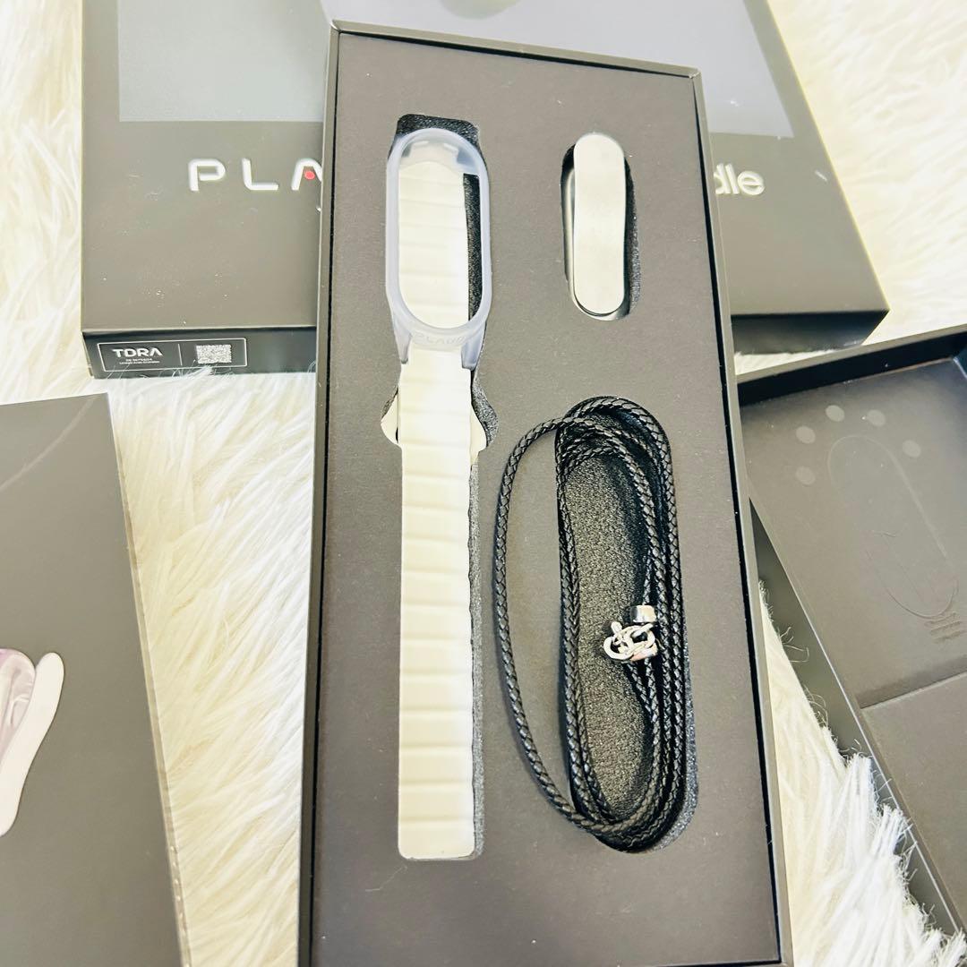 PLAUD Note Pin バンドルセット　シルバー