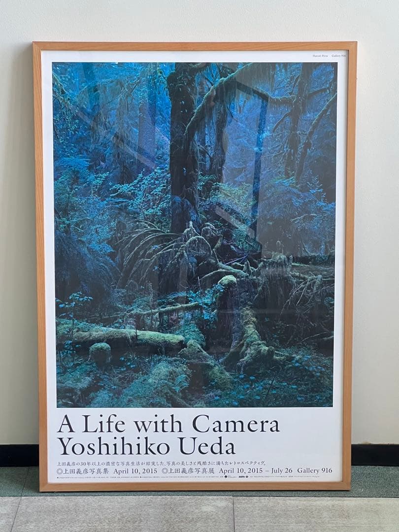 上田義彦 ポスター フレーム込
