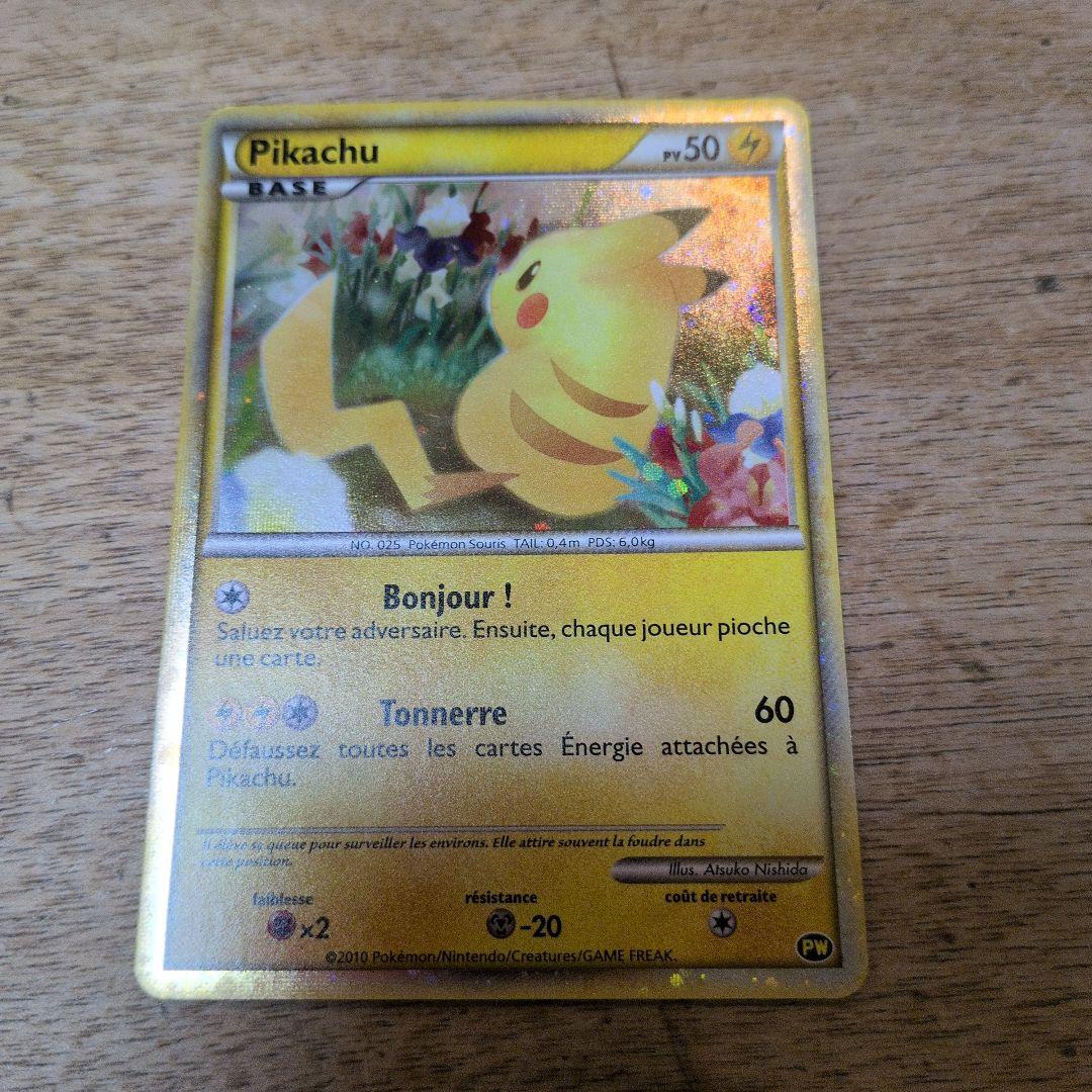 2010年　ピカチュウワールド フランス