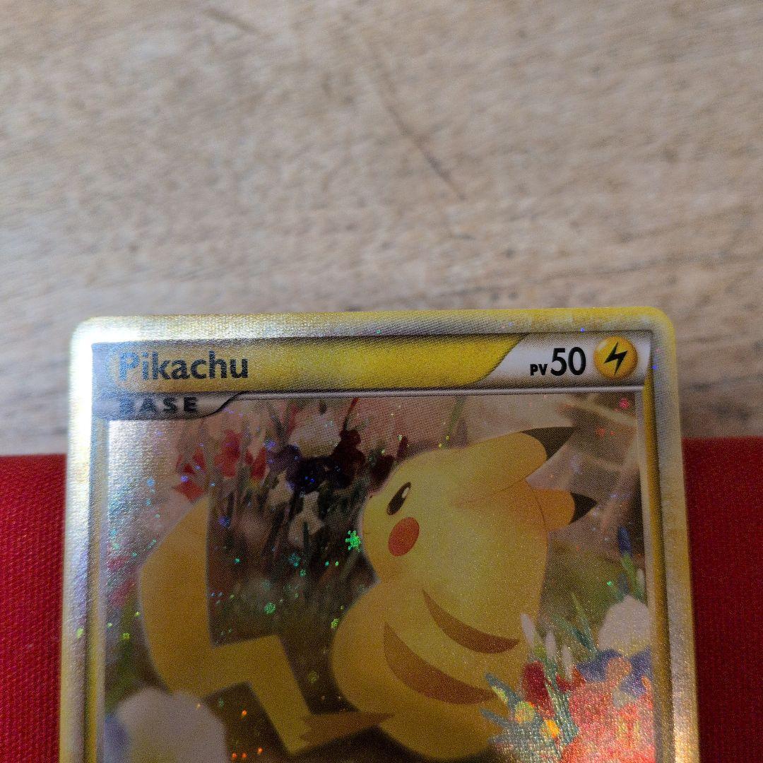 2010年　ピカチュウワールド フランス