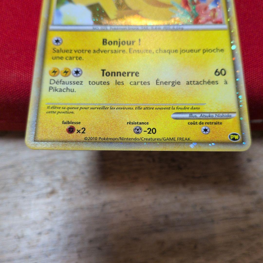 2010年　ピカチュウワールド フランス