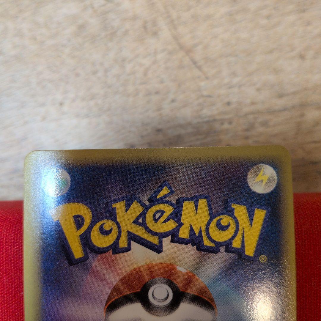 2010年　ピカチュウワールド フランス