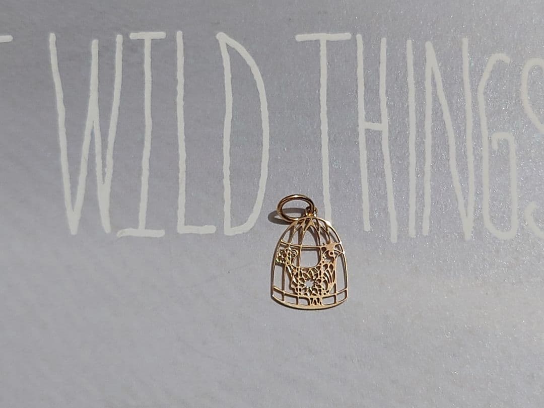 【Star Jewelry】スタージュエリー K10 鳥かごチャーム