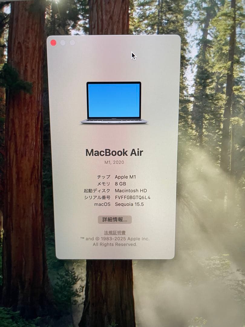 MacBook Air 13インチ M1 2020 8GB/256GB 即決可