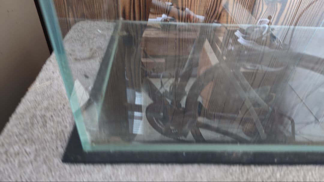 月さん様限定　ガラス水槽と外部フィルターセット
