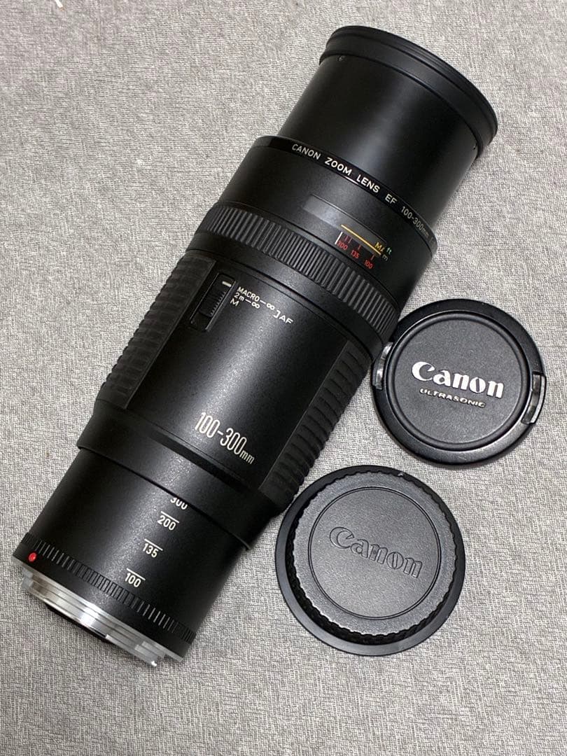 ⭐️美品⭐️キャノン Canon EF 100-300 F5.6 超望遠レンズ