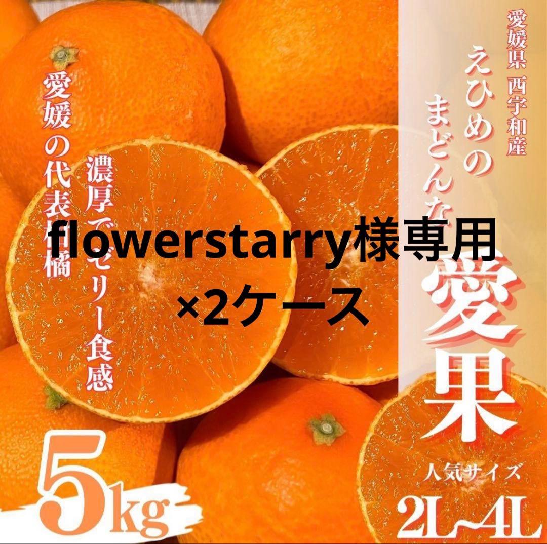 flowerstarry　ハウス愛果　２Ｌ〜４Ｌ　５キロ　2ケース