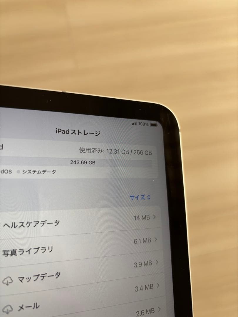 iPad 第10世代 256GB 本体 シルバー