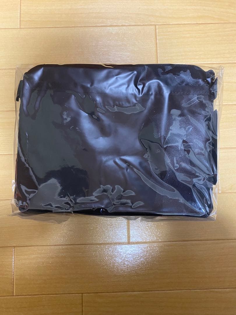 ヨドバシカメラ 夢のお年玉箱　2026 小型ミラーレス一眼デジタルカメラの夢