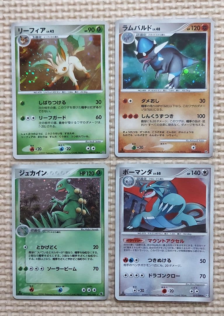 ボア・ハンモック