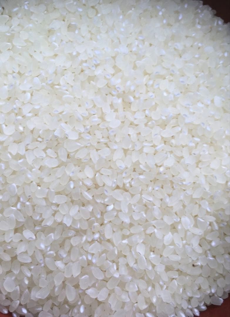 令和7年度産　山口県産（新米）10kg 恋の予感　白米/玄米　農家直送　送料無料