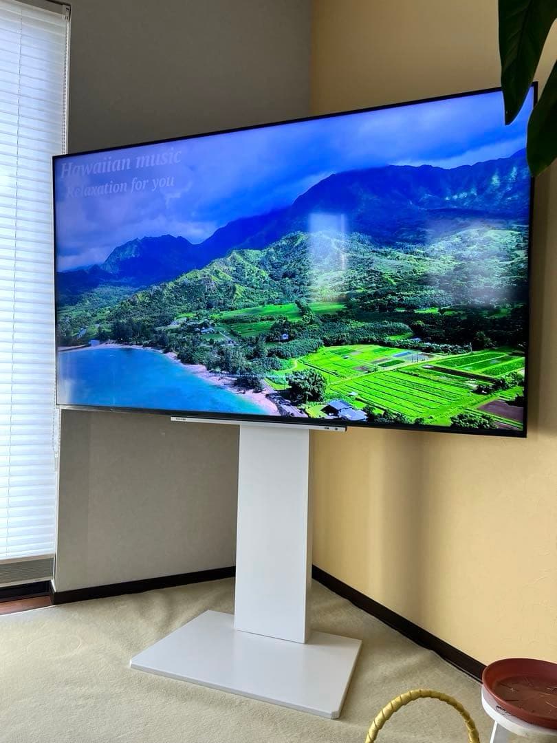 ⭐︎最終お値下げです⭐︎東芝 REGZA 4K液晶テレビ 65M540X