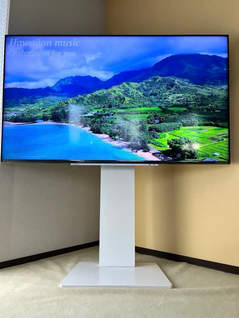 ⭐︎最終お値下げです⭐︎東芝 REGZA 4K液晶テレビ 65M540X