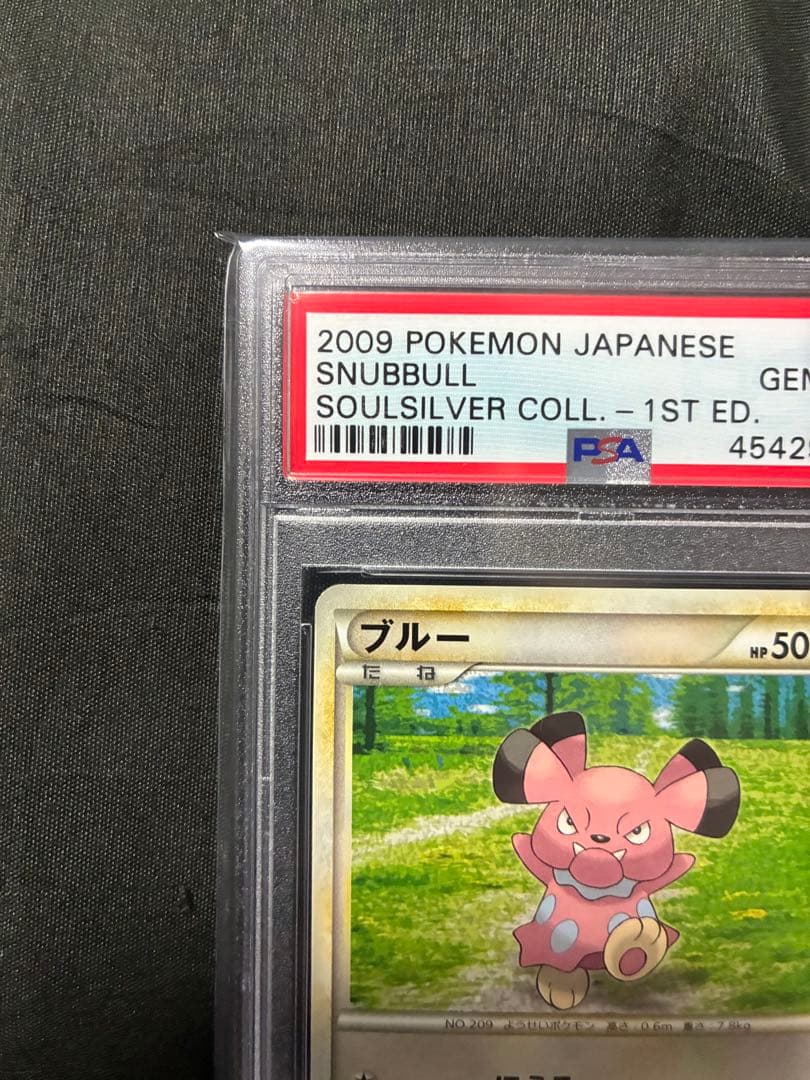 世界6枚 PSA10 ブルー snubbull 2009 057 40