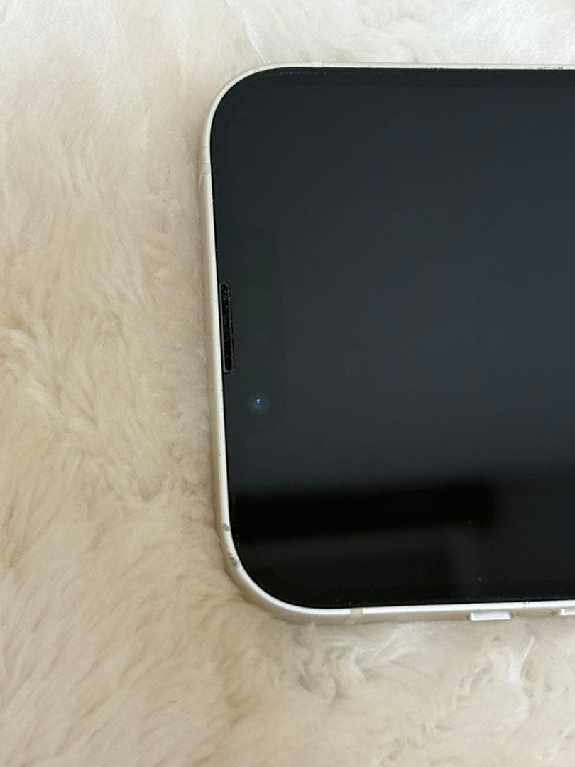 Apple iPhone 13 本体 256GB