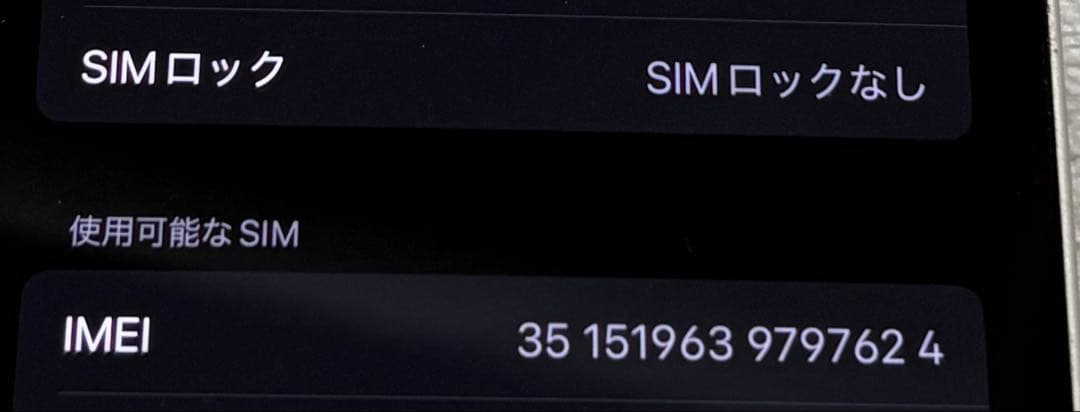 Apple iPhone 13 本体 256GB