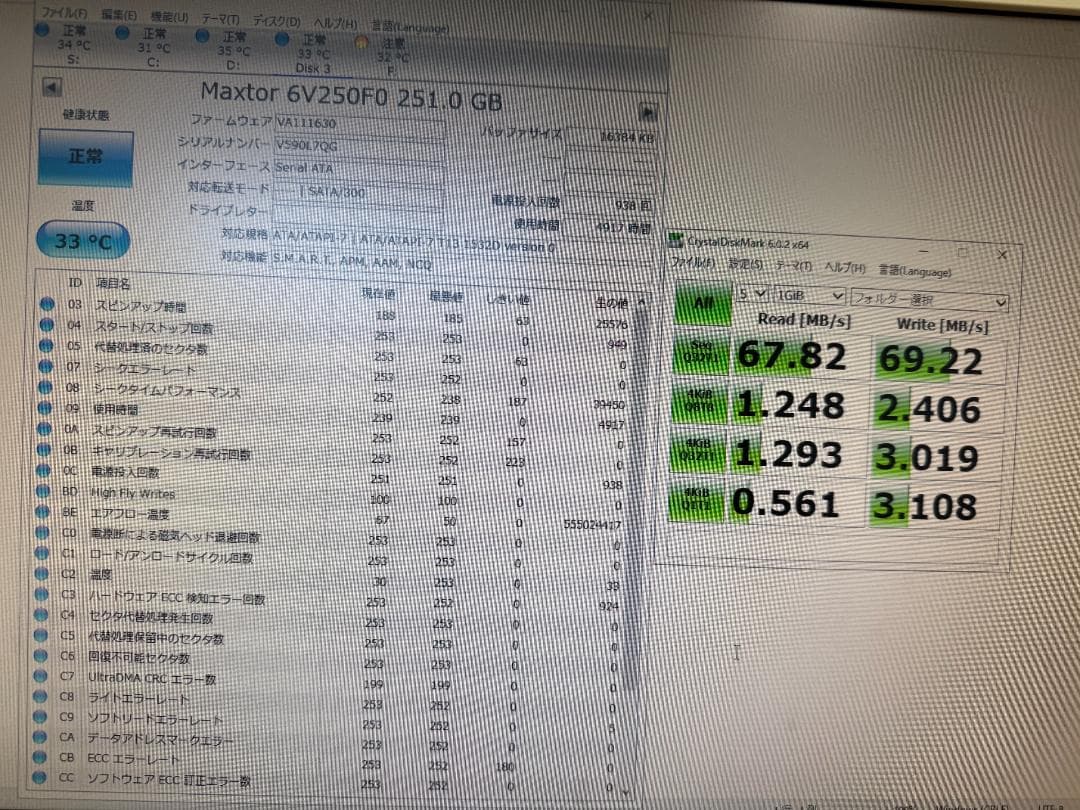 稀少　Maxtor 6V250F0 250GB 【正常】4917時間
