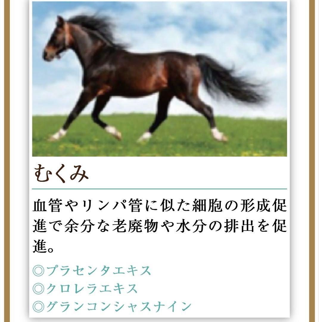 グランナイン　ボディコンシャスセラム、ボーテイントラヴィーナスドリップ