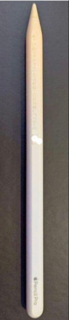 【純正・箱付き】Apple Pencil Pro