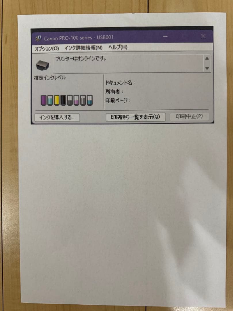 Canon A3 PIXUS PRO-100 インクジェットプリンター