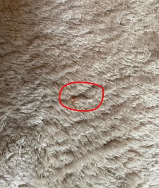 unico　ウニコ　EPET(エペット) ラグ