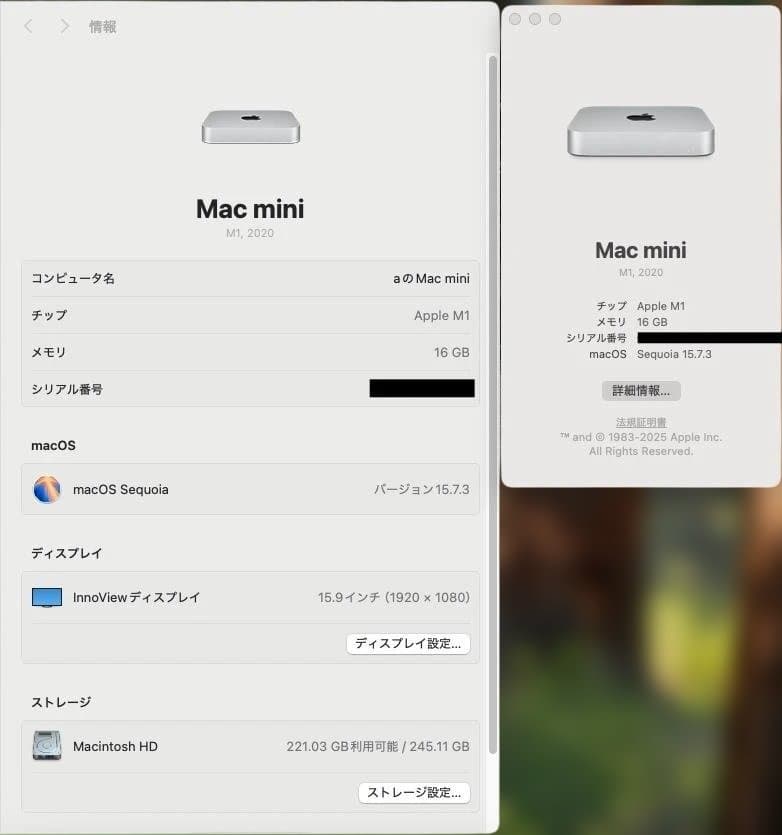【美品/メモリ16GB】Mac mini (M1,2020) SSD 256GB
