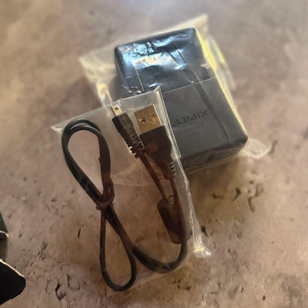 超美品Panasonic LUMIX G オレンジ 12-32mm