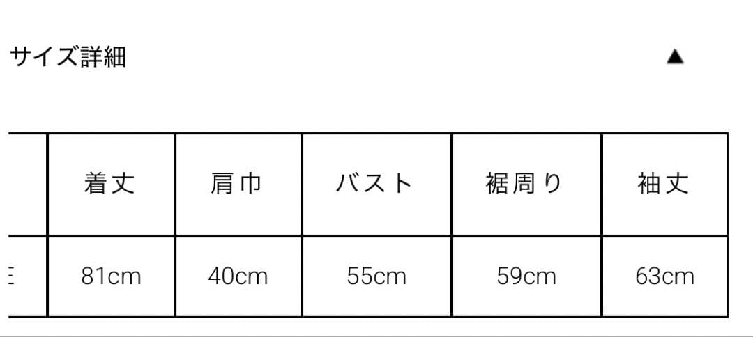 最終割引価格　hella tulle embroidery shirt