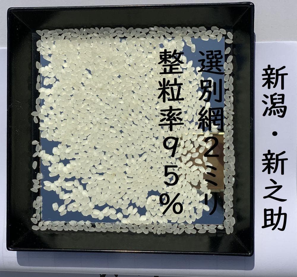 令和7年産　新潟新之助白米5キロ2個（5kg×2) 1０キロ★農家直送 色彩選別