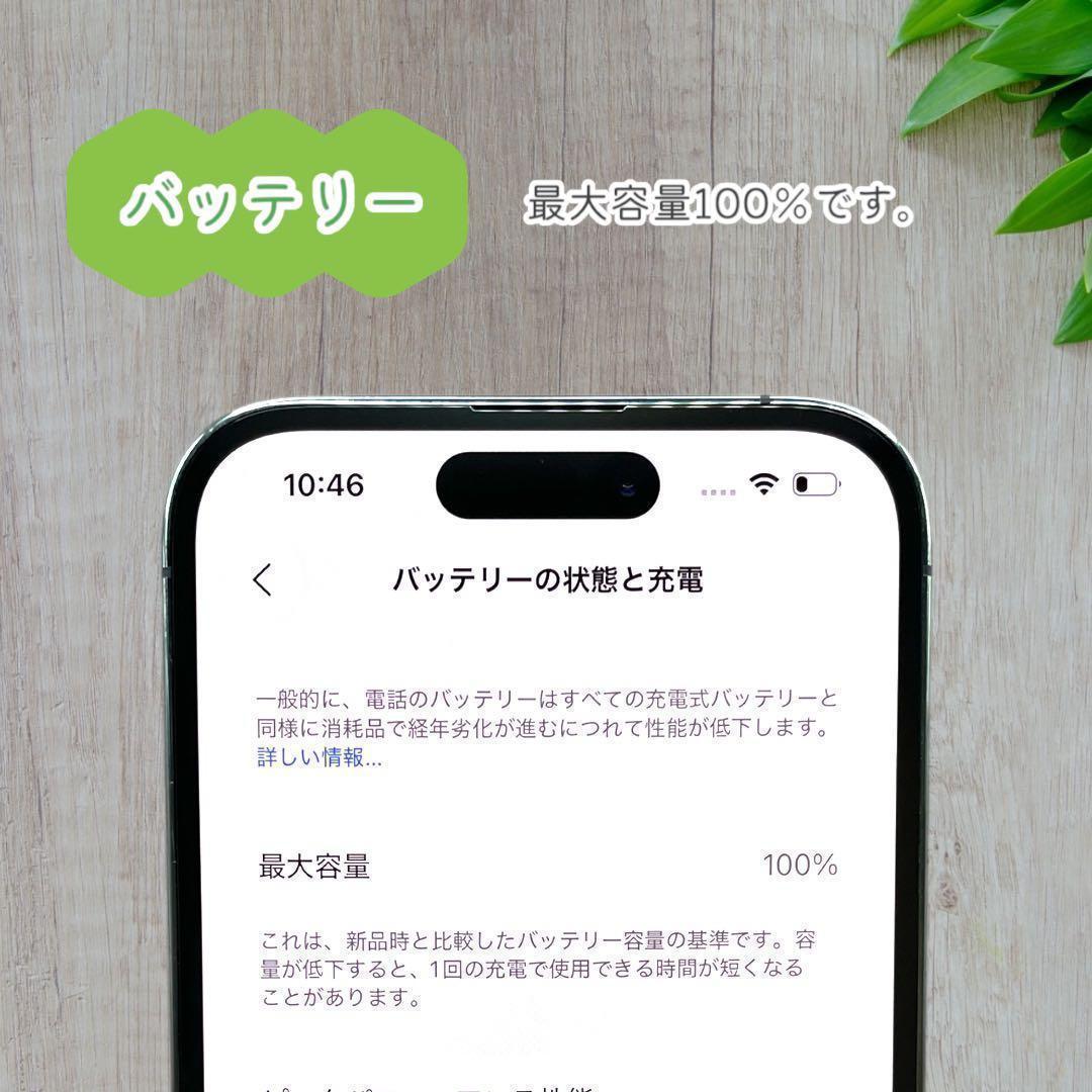 iPhone14 Pro 本体 256GB SIMフリー ディープパープル