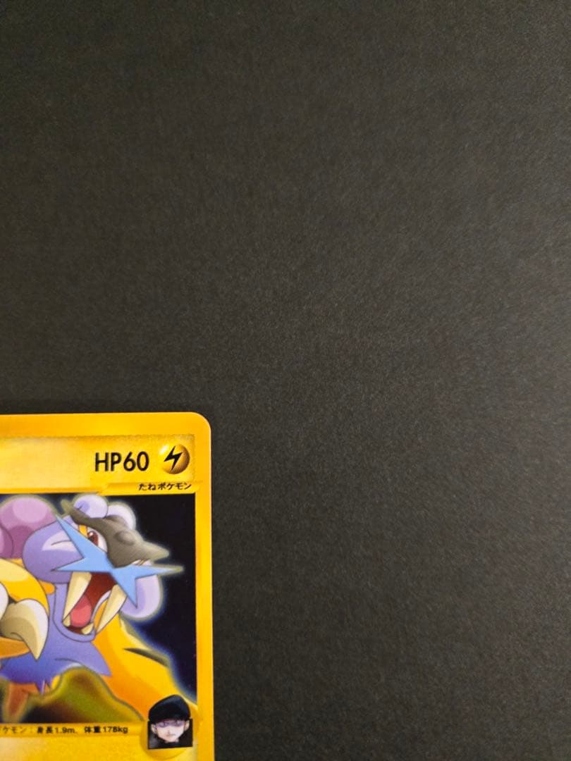 R団のライコウ ★ ポケモンカード★VS 094/141