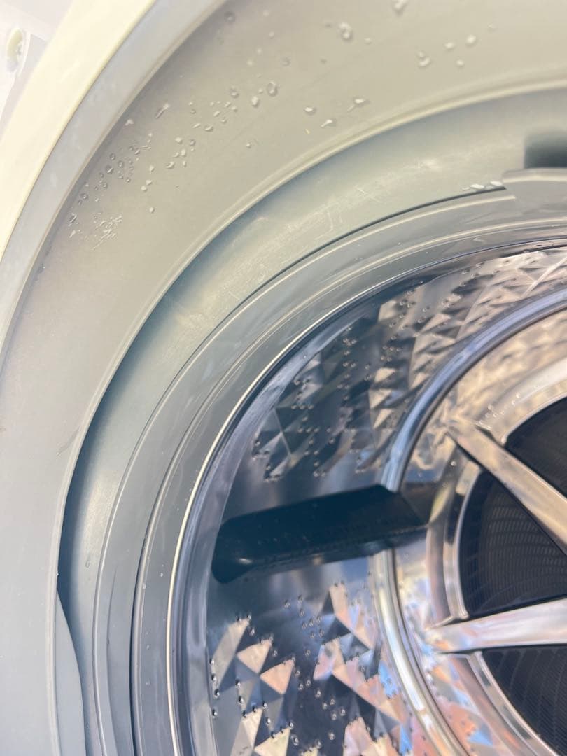 Panasonic ドラム式電気洗濯機NA-VG1000L